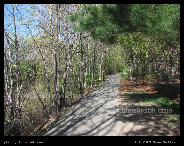 Watertown Bike Path - Watertown, MA
