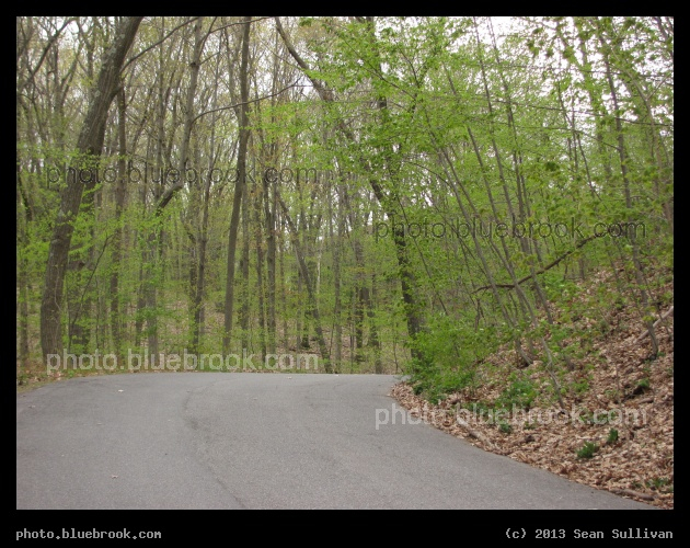 Prospect Path - Prospect Hill Park, Waltham MA