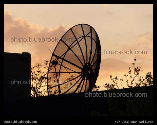 Transparent Satellite Dish - Somerville MA