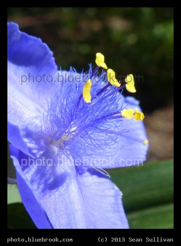 Complementary Colors - Grafton, MA