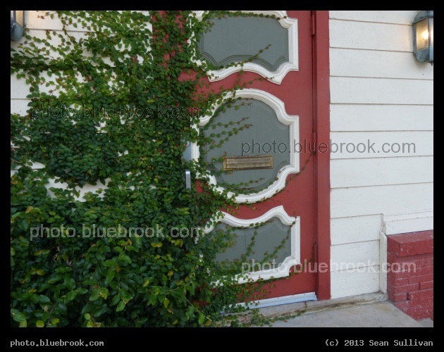 Obscured Door - Carrollton, TX