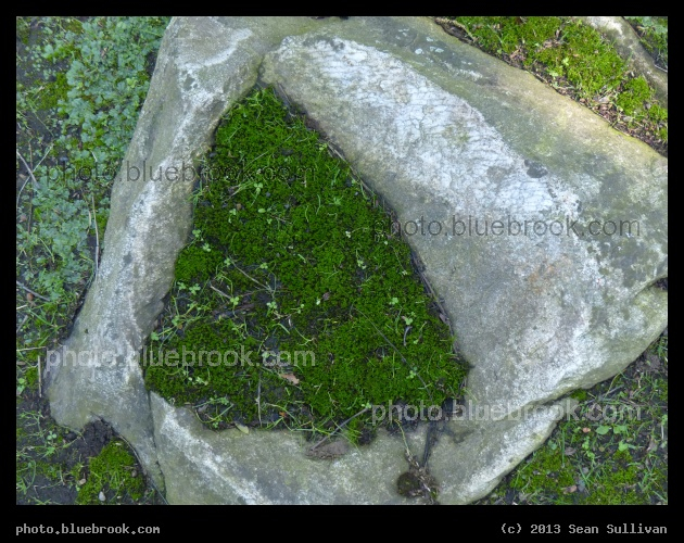 Emerald Triangle - Grafton, MA