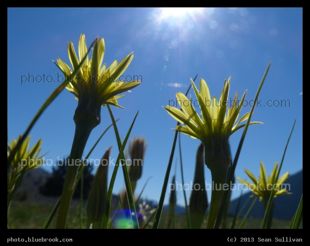 Collecting the Sun - Bearmouth rest area, I-90 near Missoula MT
