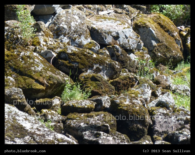 Mossy Rocks - Beside the Lochsa River, Clearwater National Forest, ID