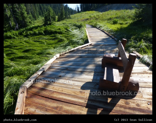 Boardwalk on a Sea of Grass - Lolo Pass, ID/MT