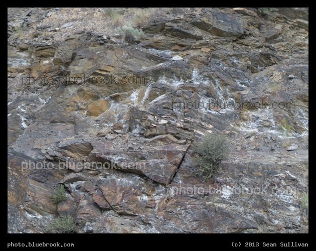 Life upon the Rock Face - A road cut on US-93 beside the Little Salmon River, south of Riggins ID
