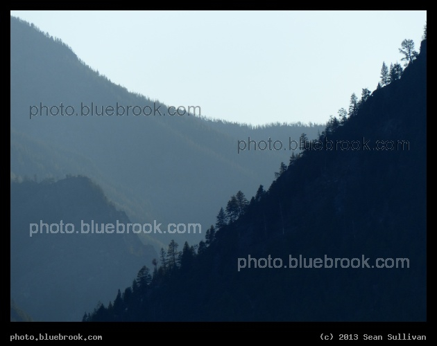 Slope of Trees - Bitterroot Mountains, Stevensville MT
