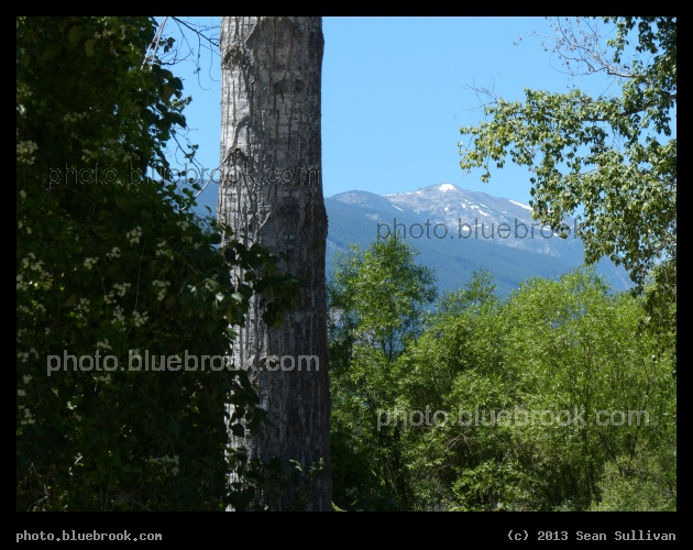 Peeking Mountains - Florence, MT