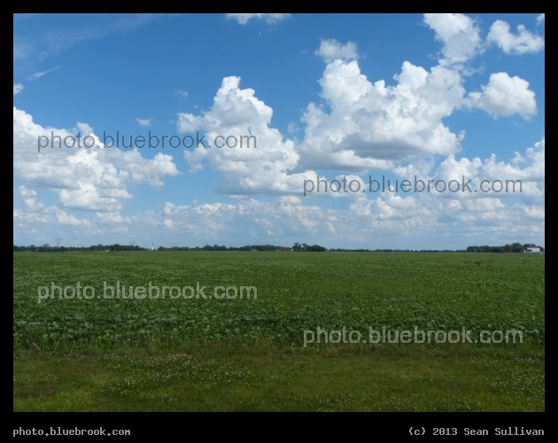 Ohio Fields - London, OH