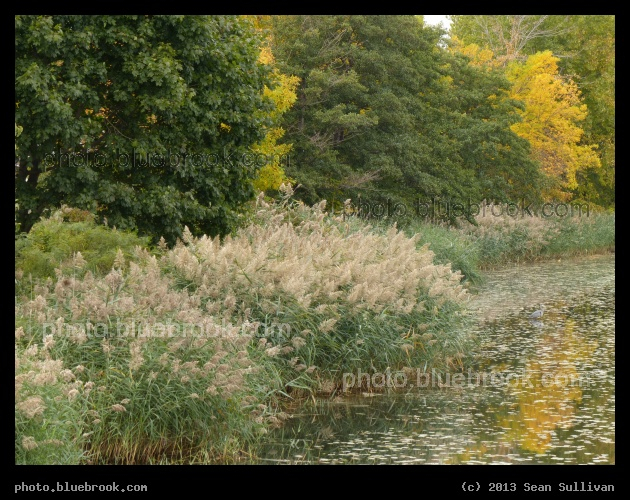 Mystic Autumn - Mystic River at Assembly Square, Somerville MA