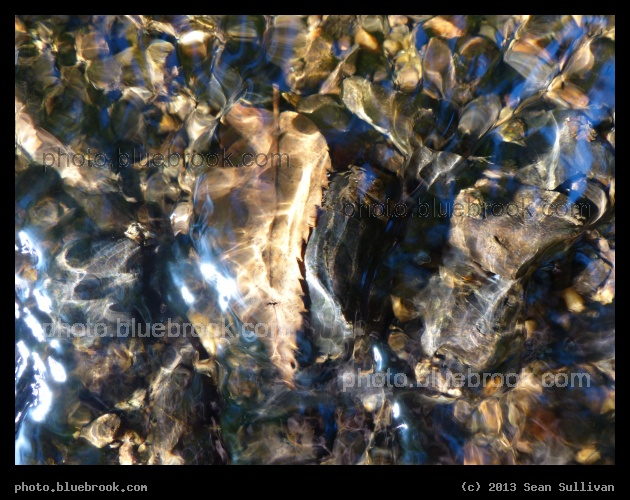 Through the Ripples - Beaver Brook, Belmont/Waltham MA