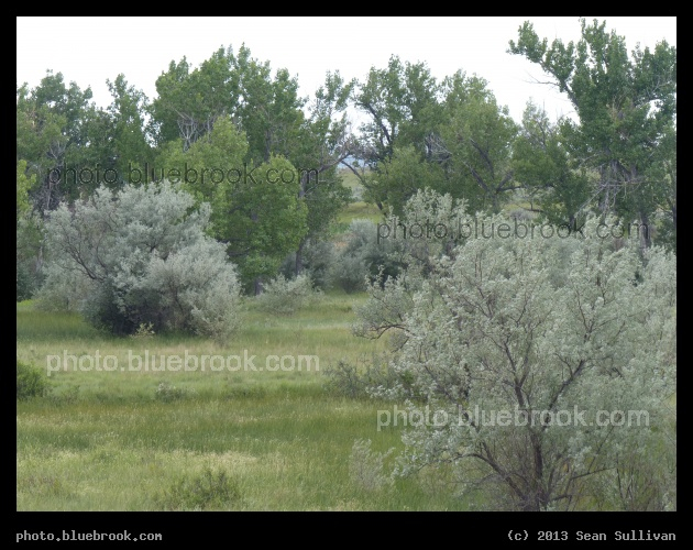 Fallon Landscape - Between Fallon and Glendive MT