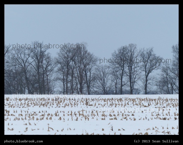 Pennsylvania Winter - Russellville, PA
