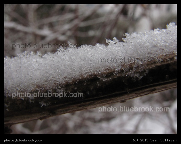 Crystals in a Line - Somerville MA