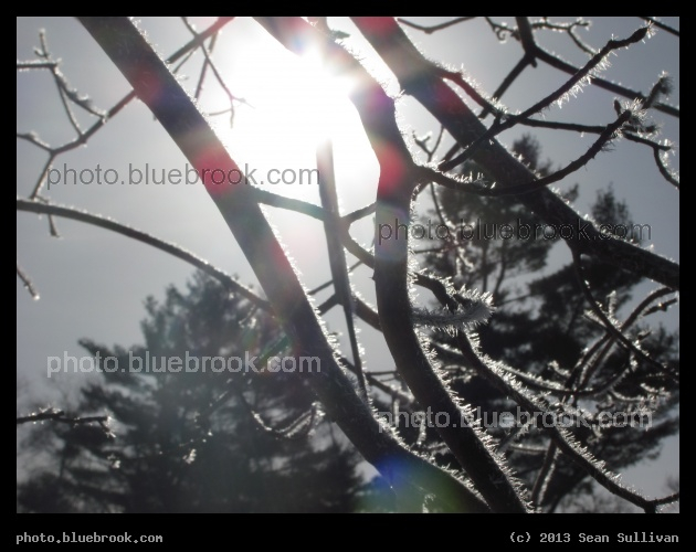 Sun-Bleached Crystals - Grafton MA