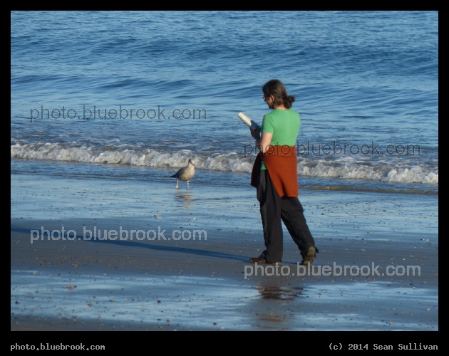 Strangers Passing on the Beach - Revere Beach, Revere MA