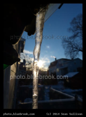 Sunlit Icicle - Sunrise, Somerville MA