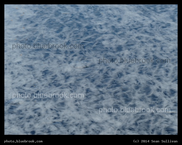 Frosted Blue River - Charles River (from the Massachusetts Avenue bridge), Cambridge/Boston MA