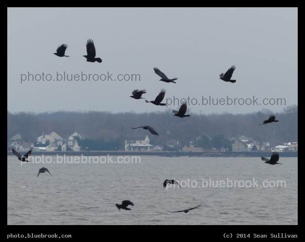 Delaware Flight - Delaware River from Battery Park, New Castle DE