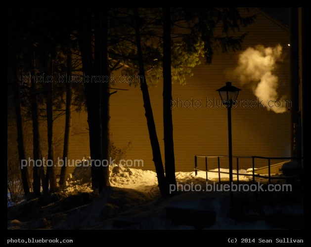 Golden Winter Lights - Amherst, MA