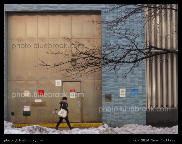 Walking in the City - New York City, NY