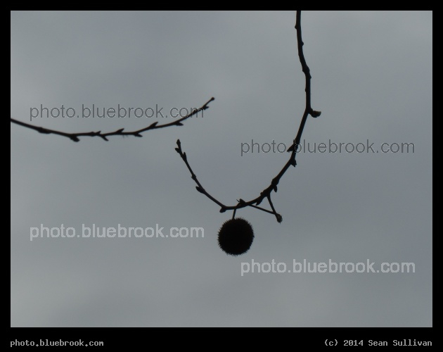 Spherical Pod - Washington Square, New York City