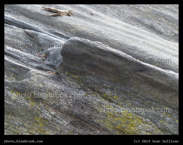 Smooth Outcrop - Central Park, New York City