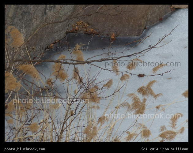Frozen Turtle Pond - Looking down at Turtle Pond from Belvedere Castle, with a rock outcrop rising from the edge of the pond