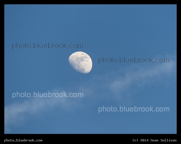 Gibbous Moon over Contrail - Somerville MA