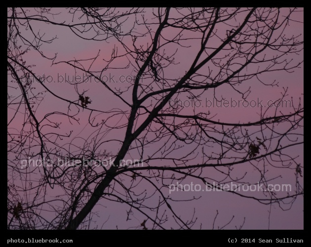 Pink-Tinged Sunset - Leominster MA