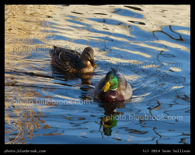 Melodic Waves - Mystic River Reservation, Medford MA