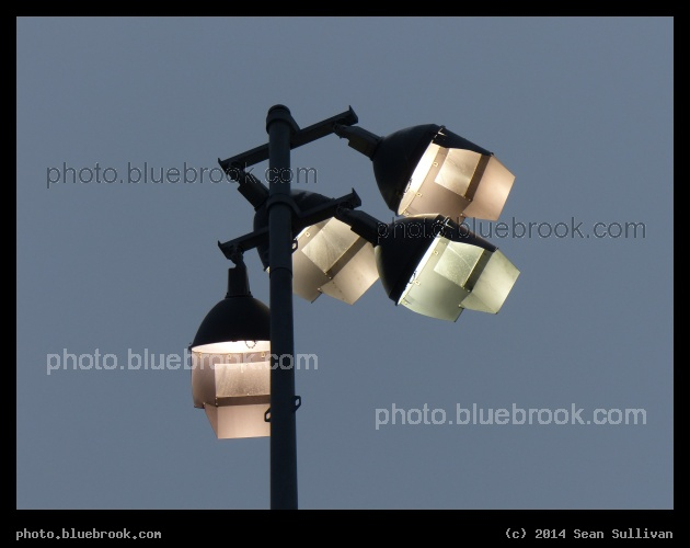 Field Lights - Above Trum Field, Somerville MA