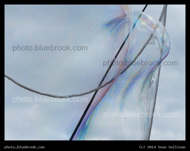Bubble Release - Cambridge MA