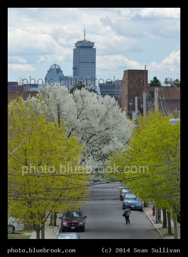Myrtle Street - Somerville MA
