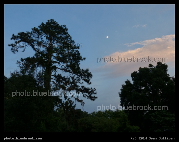Micanopy Twilight - Micanopy, FL