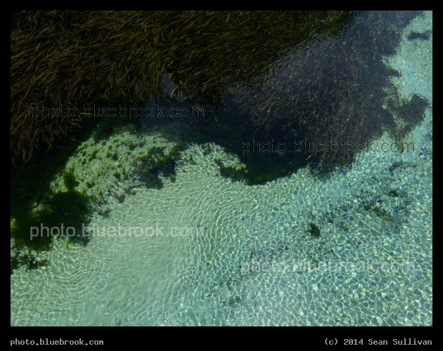 Rivers Edge - Weeki Wachee State Park, FL