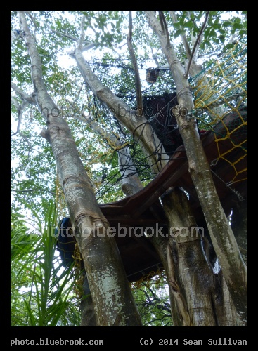 Sky Perch - Everglades Hostel, Florida City FL