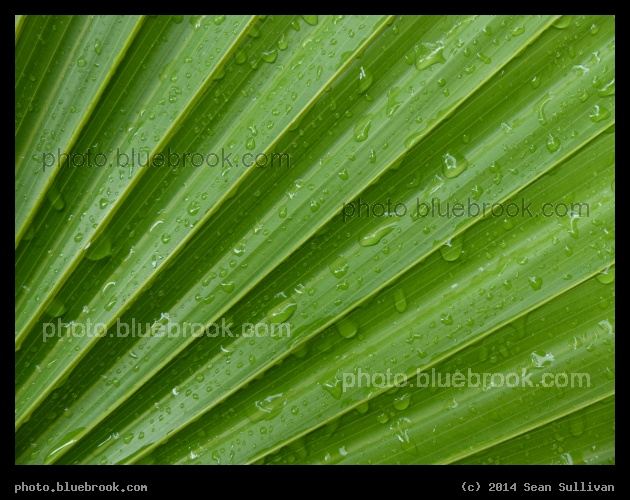 Raindrops on Palmetto - Everglades Hostel, Florida City FL