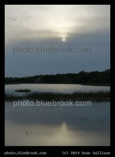 Fading Sunlight - Boone Hall Plantation, Mt Pleasant SC