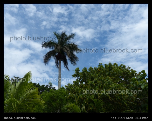 Tropical Sky - Everglades Hostel, Florida City FL