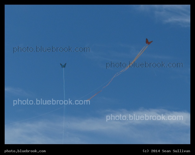 Pair of Kites - Cocoa Beach, FL