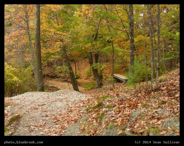 Hemlock Gorge - Needham MA