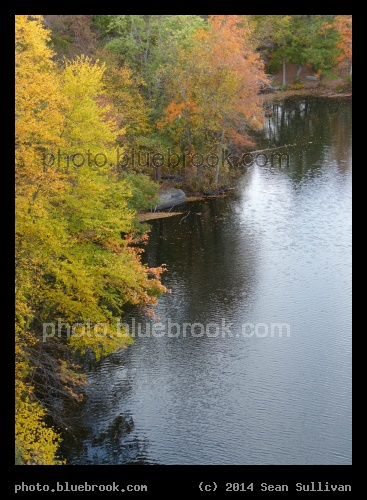 Massachusetts Trees - From Echo Bridge, Newton MA