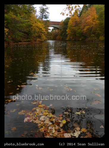 River to Echo Bridge - Charles River, Needham MA
