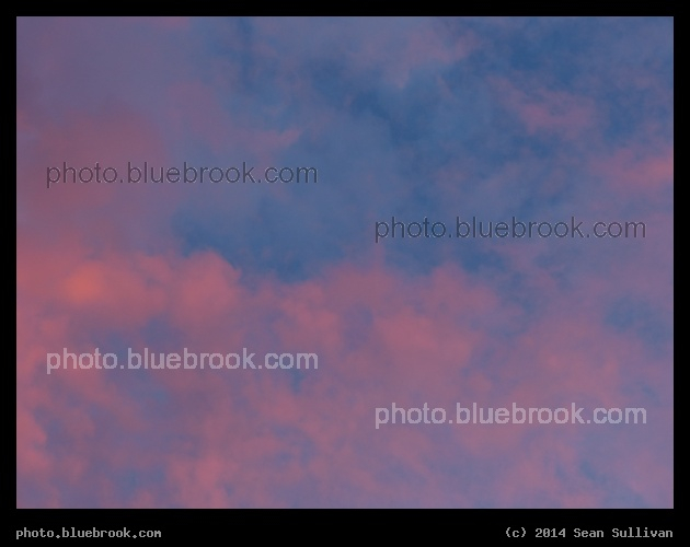 Mottled Pink Clouds - Somerville MA