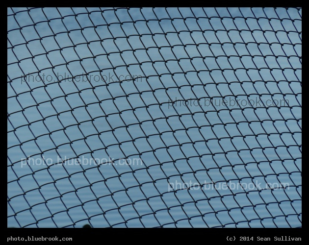 Twisted Wire - Draw Seven Park, Somerville MA