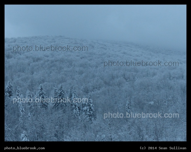 Afternoon Frosting - From Mt Sutton, QC