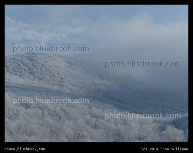 Trees in the Clouds - From Mt Sutton, QC