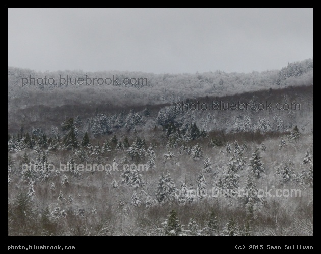 Frosted Brown Mountainside - Near Bolton, VT