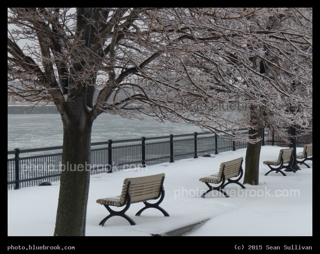 Benches on the St Lawrence - Parc Jean-Drapeau, Ile Sainte-Helene, Montreal QC